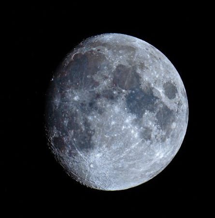 Где купить домашний планетарий SEGA Toys Homestar Flux