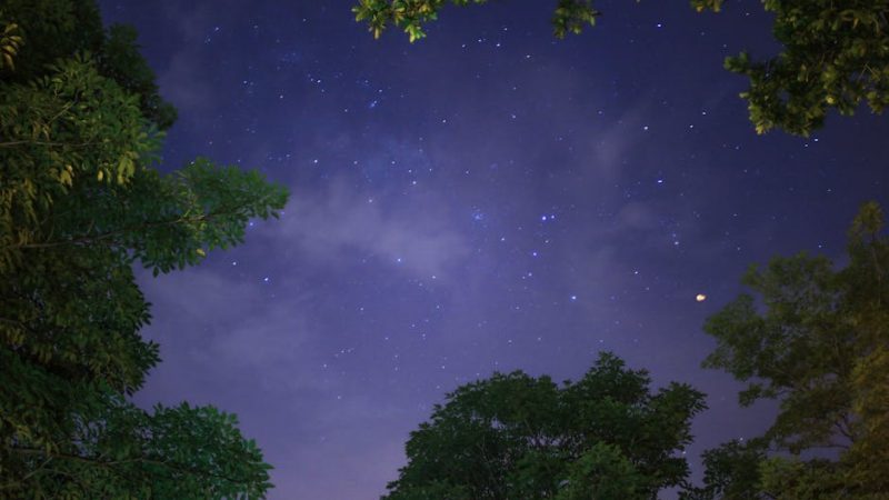 Homestar Classic: романтика