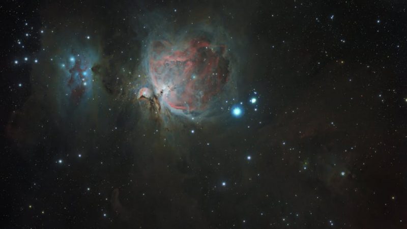 Где купить SegaToys Homestar