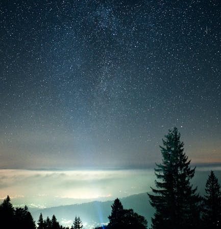 Homestar Flux и его аналоги: обзор конкурентных моделей