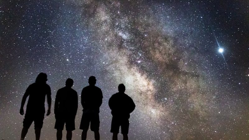Skydisco Aurora: рейтинг моделей