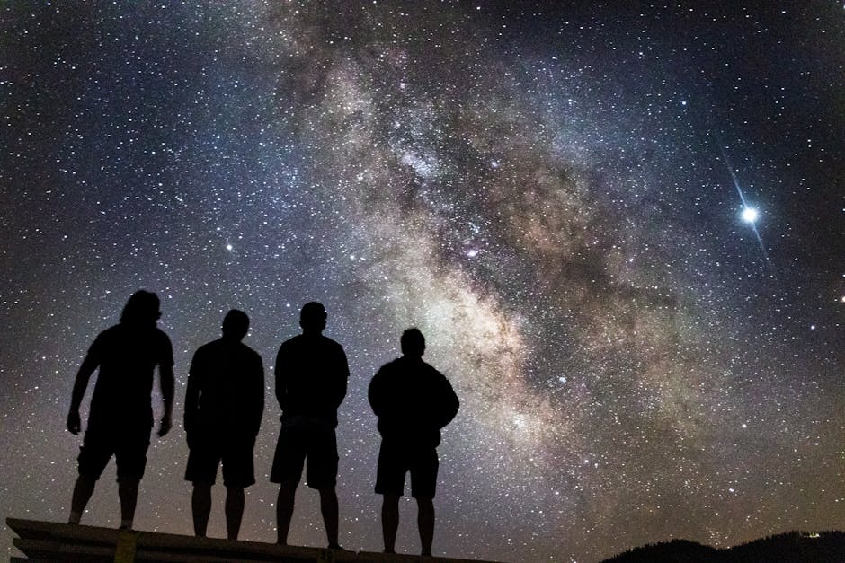 Skydisco Aurora: рейтинг моделей