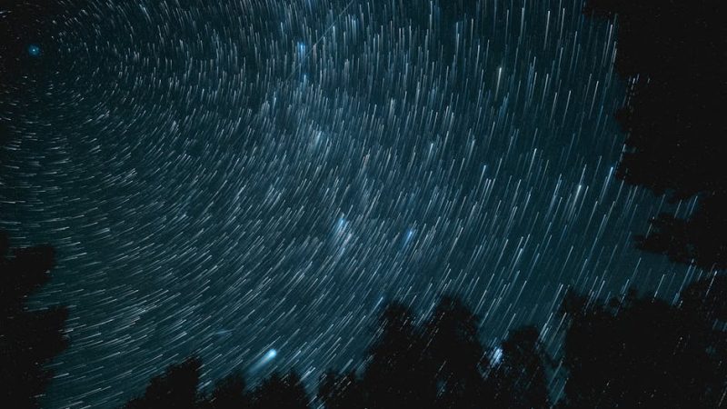 SEGA Toys Homestar Flux: лучший выбор для дома