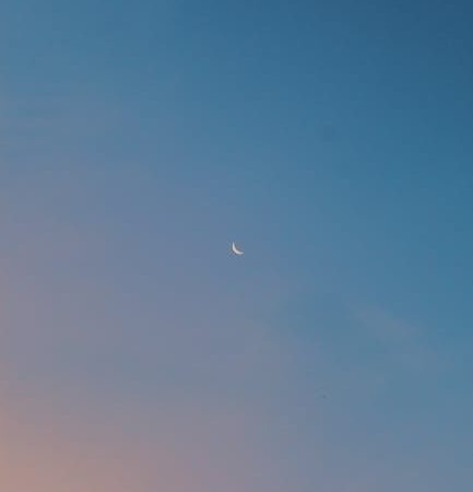 SEGA Homestar Flux: звезды дома