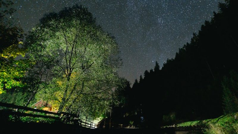 Levenhuk LabZZ SP30: настройки