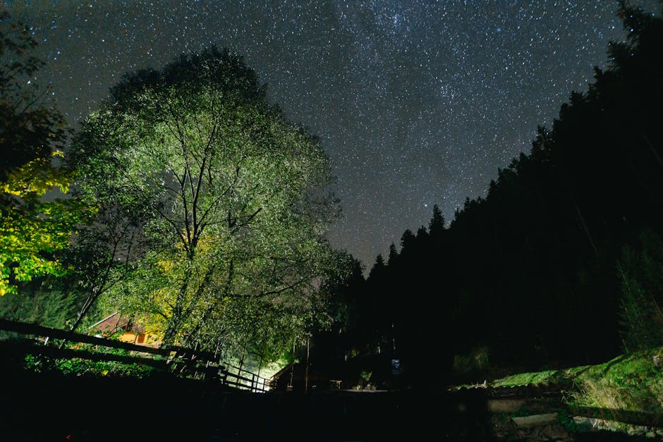 Levenhuk LabZZ SP30: настройки