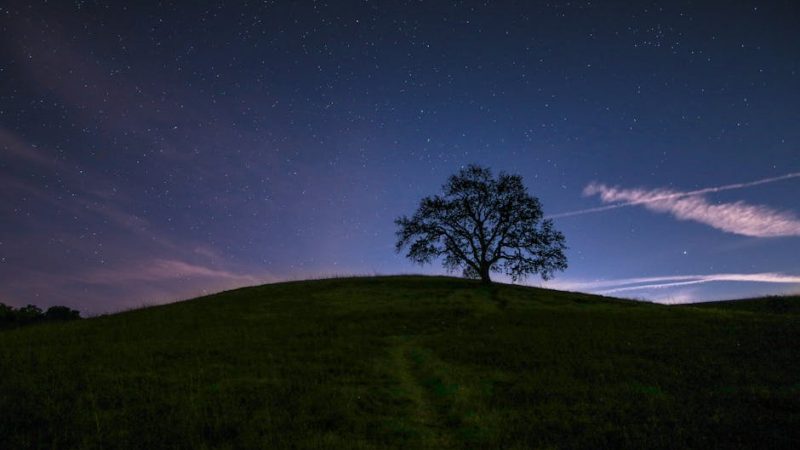 Levenhuk LabZZ SP30: отзывы